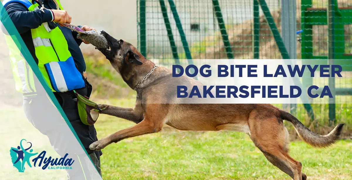 Dog Bite Lawyer Bakersfield