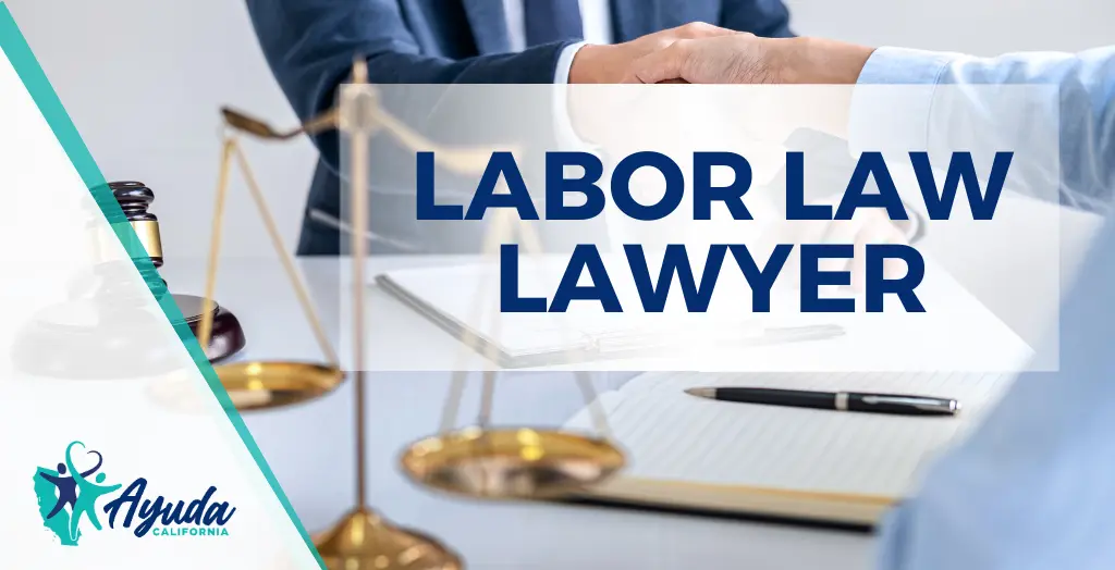 PRACTICE AREA- Labor Law Lawyer